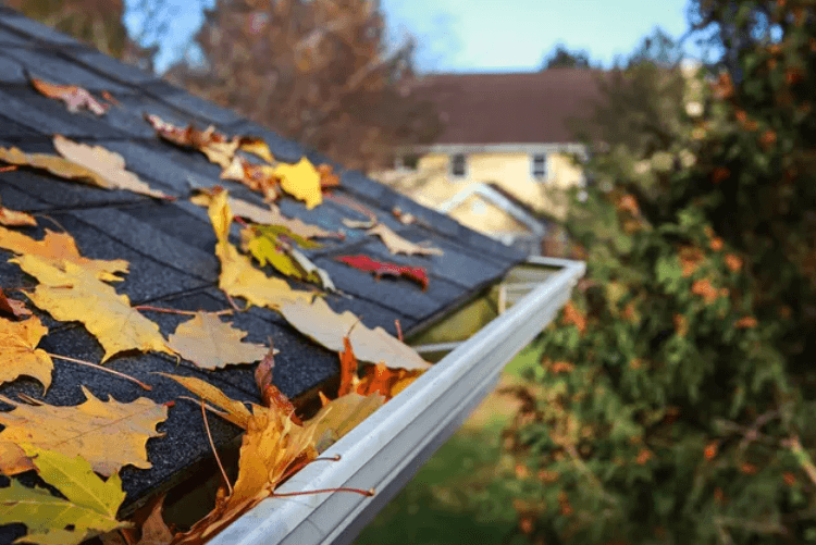 The Quiet Warning Signs Your Roof Should Never Ignore