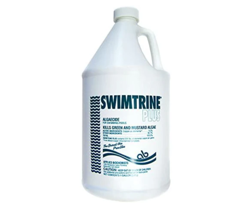 Common Causes of Pool Algae and How to Prevent Them