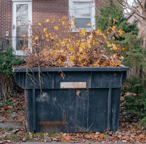 What Size Dumpster Do You Need for a Home Cleanout?