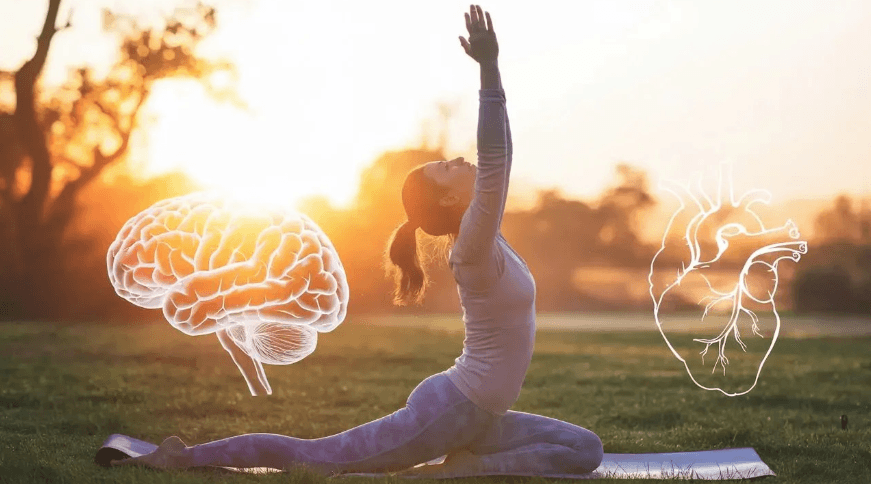 Mind-Body Connection: How Mental Health Really Works