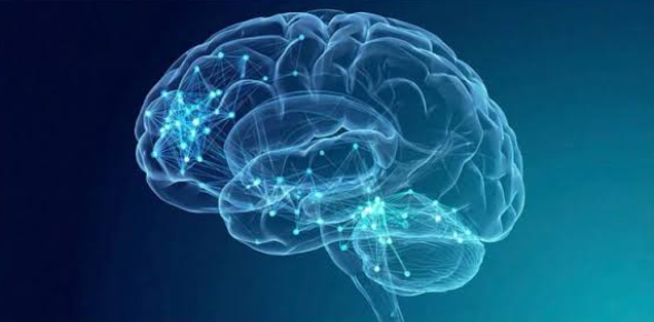 How Alcohol Affects the Brain and Body Over Time