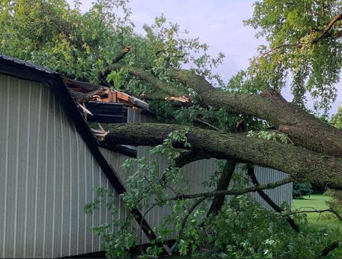 Storm Damage Tree Services in Ambler and Nearby Montgomery County: A Homeowner Recovery Network