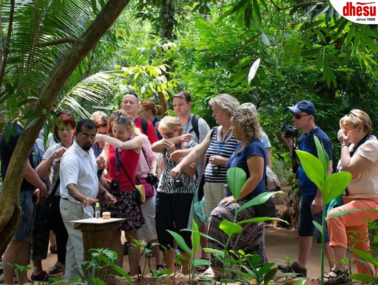 How to Choose a Travel Agent in Malaysia for a Better-Planned Holiday