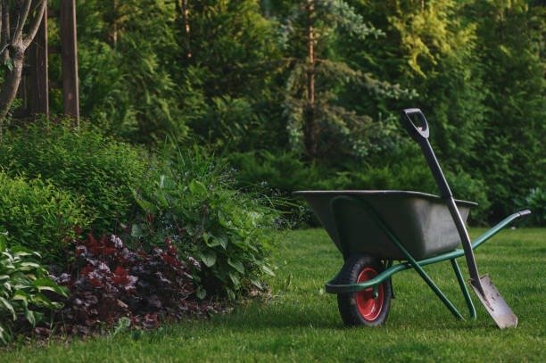 Why Is Skip Hire Useful For Garden Clearance