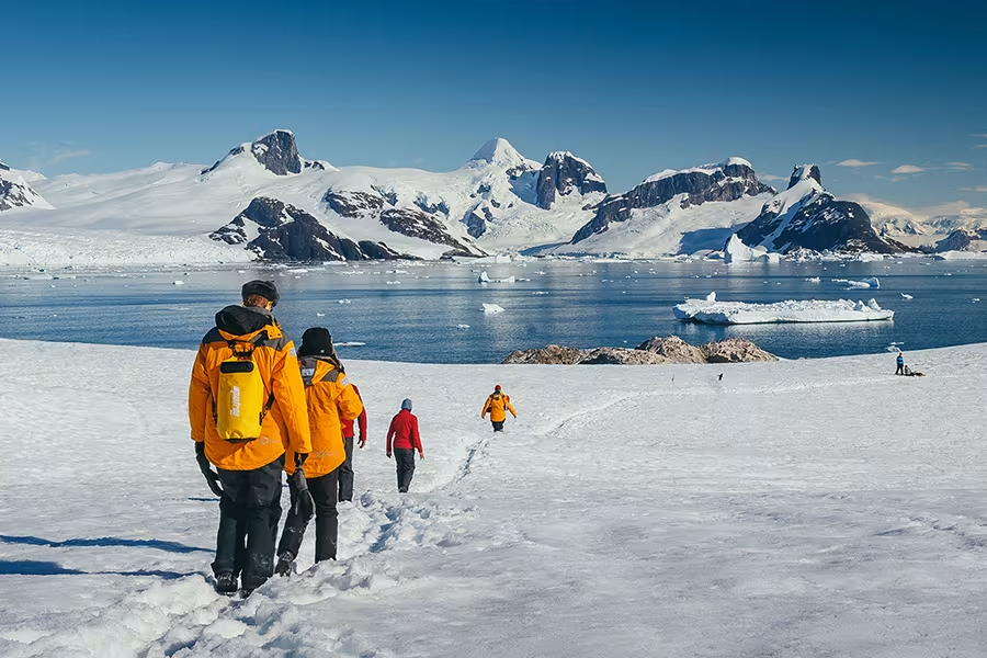 Planning an Antarctica Trip? Start With Antarctica Travel Agents
